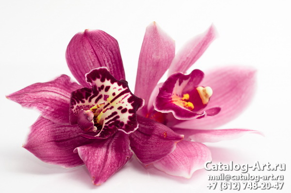 картинки для фотопечати на потолках, идеи, фото, образцы - Потолки с фотопечатью - Розовые орхидеи 97